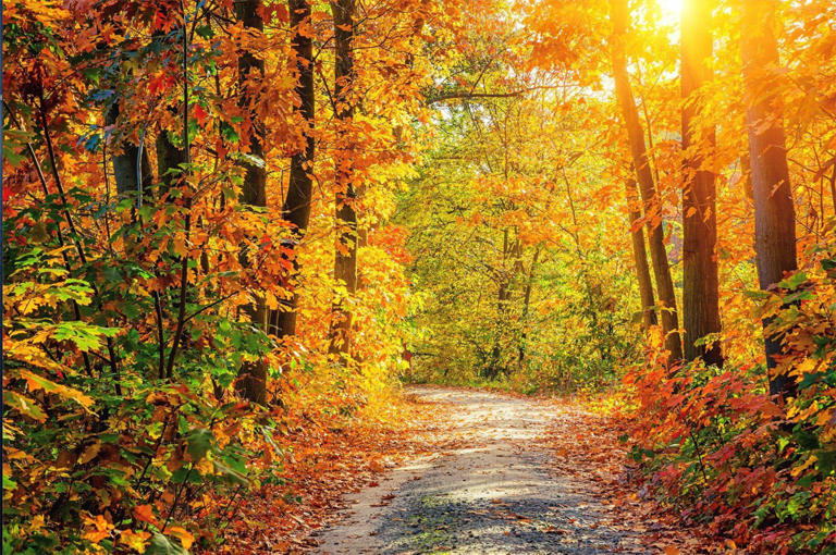 sunset cabin - hocking hills