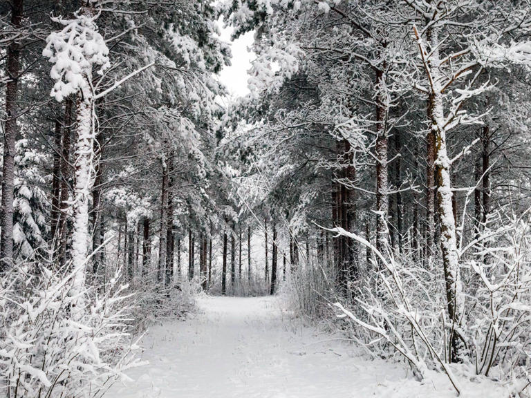 sunset cabin - hocking hills